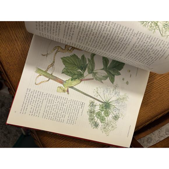 The Complete Book of Herbs and Spices by Sarah Garland Hardcover Book - Picture 8 of 10